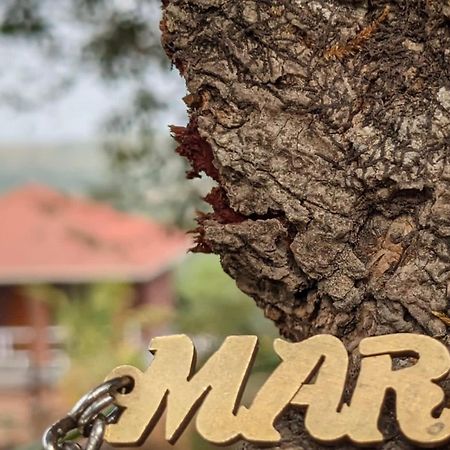 Mars Jungle Adventure Stud Farm With Private Jacuzzi Villa Narsinge Eksteriør billede
