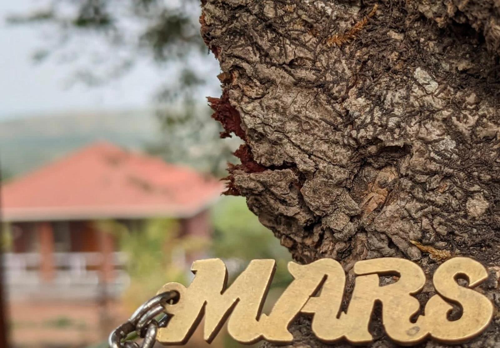 Mars Jungle Adventure Stud Farm With Private Jacuzzi Villa Narsinge Eksteriør billede